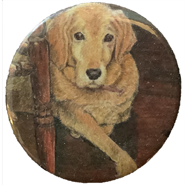 Good Old Girl